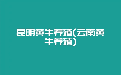 昆明黄牛养殖(云南黄牛养殖)-会东网