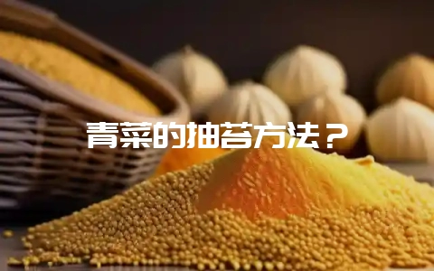 青菜的抽苔方法？-会东网