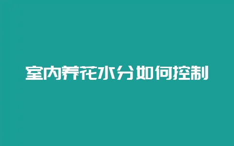 室内养花水分如何控制-会东网