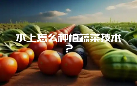 水上怎么种植蔬菜技术？-会东网