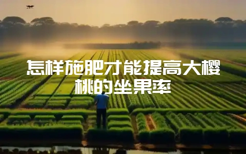 怎样施肥才能提高大樱桃的坐果率-会东网