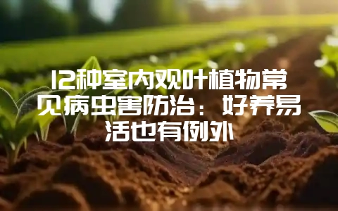 12种室内观叶植物常见病虫害防治：好养易活也有例外-会东网