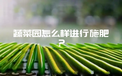 蔬菜园怎么样进行施肥？-会东网