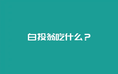 白头翁吃什么?插图 白头翁吃什么?插图