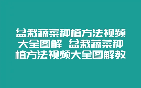 盆栽蔬菜种植方法视频大全图解 盆栽蔬菜种植方法视频大全图解教程插图 盆栽蔬菜种植方法视频大全图解 盆栽蔬菜种植方法视频大全图解教程插图