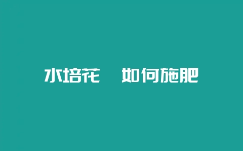 水培花卉如何施肥-会东网