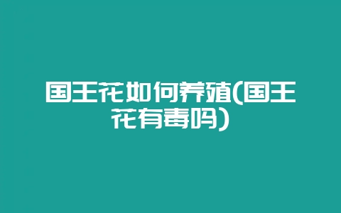 国王花如何养殖(国王花有毒吗)-会东网