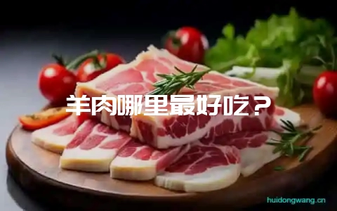 羊肉哪里最好吃？-会东网