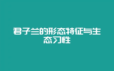 君子兰的形态特征与生态习性插图 君子兰的形态特征与生态习性插图