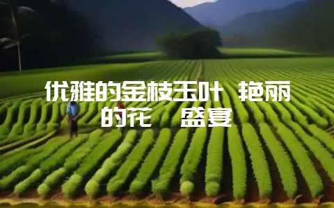 优雅的金枝玉叶 艳丽的花卉盛宴-会东网