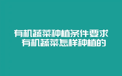 有机蔬菜种植条件要求 有机蔬菜怎样种植的-会东网