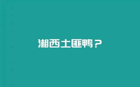 湘西土匪鸭？-会东网