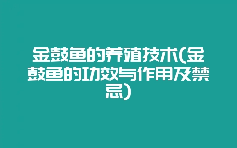 金鼓鱼的养殖技术(金鼓鱼的功效与作用及禁忌)-会东网