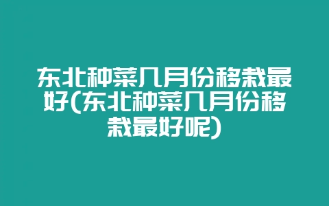 东北种菜几月份移栽最好(东北种菜几月份移栽最好呢)-会东网