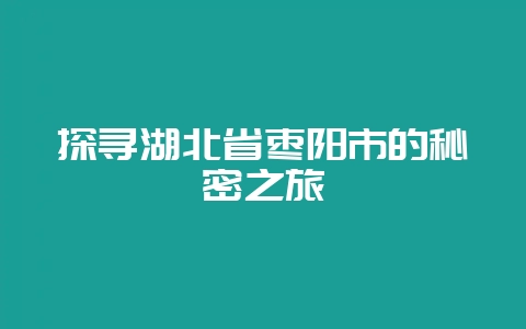 探寻湖北省枣阳市的秘密之旅-会东网