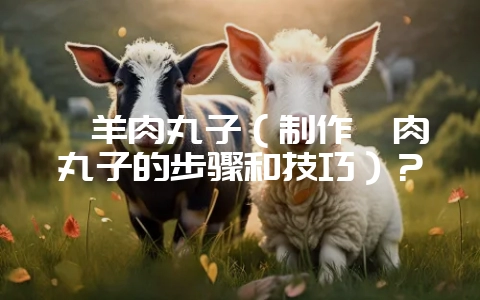 剁羊肉丸子(制作剁肉丸子的步骤和技巧)?插图 剁羊肉丸子(制作剁肉丸子的步骤和技巧)?插图