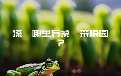 深圳哪里有桑葚采摘园？-会东网
