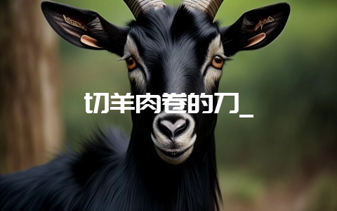 切羊肉卷的刀_-会东网