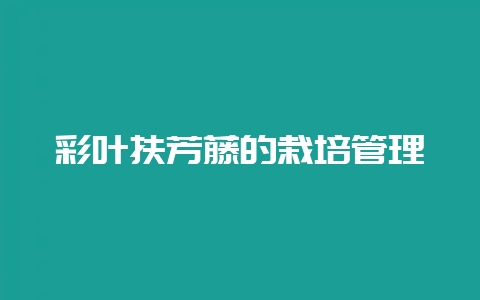 彩叶扶芳藤的栽培管理-会东网