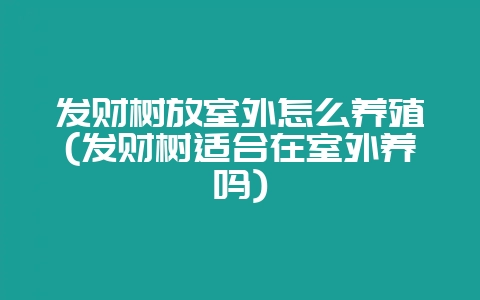 发财树放室外怎么养殖(发财树适合在室外养吗)-会东网