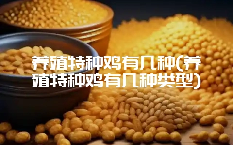 养殖特种鸡有几种(养殖特种鸡有几种类型)-会东网