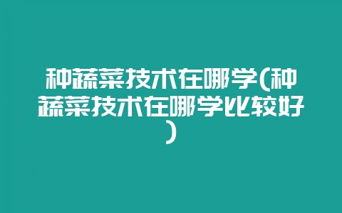 种蔬菜技术在哪学(种蔬菜技术在哪学比较好)-会东网