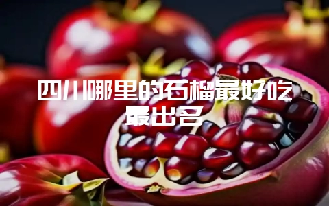 四川哪里的石榴最好吃最出名-会东网