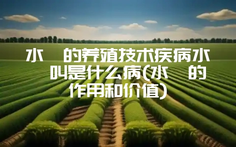 水貂的养殖技术疾病水貂叫是什么病(水貂的作用和价值)-会东网