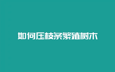 如何压枝条繁殖树木插图 如何压枝条繁殖树木插图