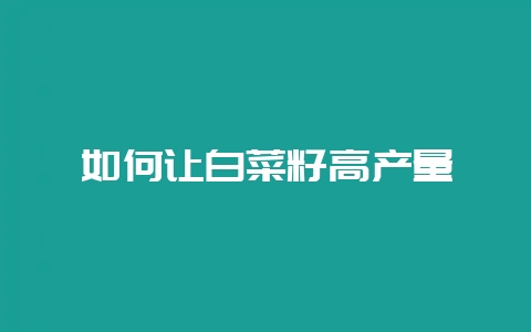 如何让白菜籽高产量-会东网