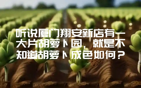 听说厦门翔安新店有一大片胡萝卜园，就是不知道胡萝卜成色如何？-会东网
