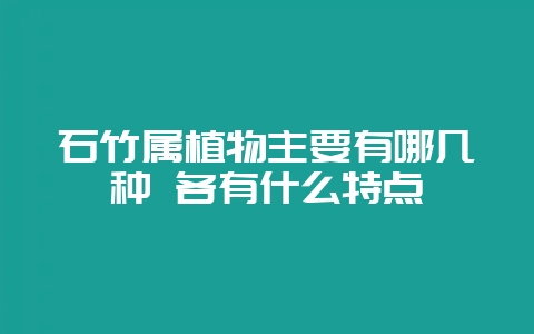 石竹属植物主要有哪几种 各有什么特点插图 石竹属植物主要有哪几种 各有什么特点插图