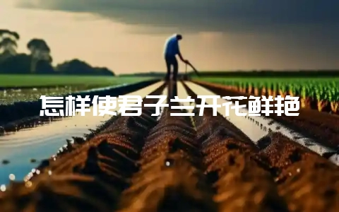 怎样使君子兰开花鲜艳-会东网