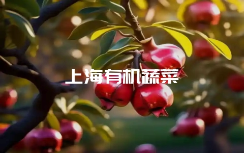 上海有机蔬菜-会东网