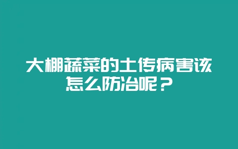 大棚蔬菜的土传病害该怎么防冶呢？-会东网