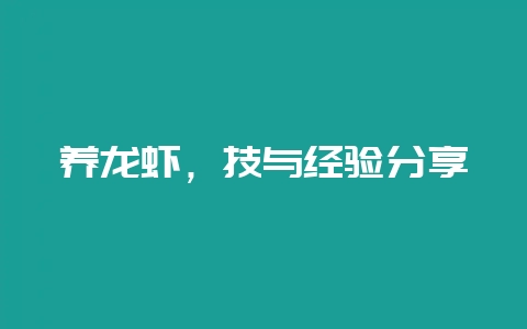 养龙虾，技与经验分享-会东网