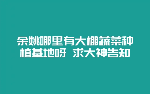 余姚哪里有大棚蔬菜种植基地呀 求大神告知插图 余姚哪里有大棚蔬菜种植基地呀 求大神告知插图