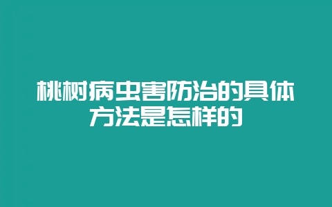 桃树病虫害防治的具体方法是怎样的-会东网