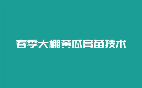 春季大棚黄瓜育苗技术-会东网