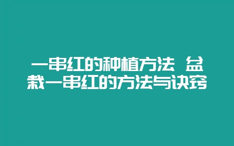 一串红的种植方法 盆栽一串红的方法与诀窍-会东网