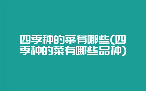 四季种的菜有哪些(四季种的菜有哪些品种)插图 四季种的菜有哪些(四季种的菜有哪些品种)插图