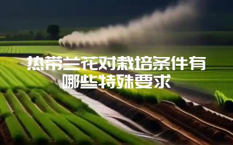 热带兰花对栽培条件有哪些特殊要求-会东网