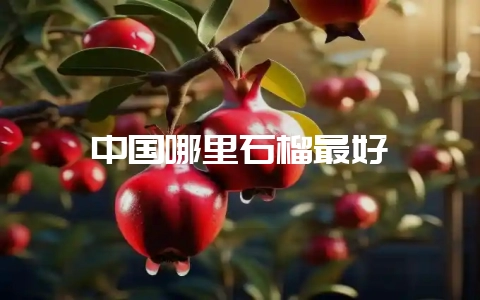 中国哪里石榴最好插图 中国哪里石榴最好插图