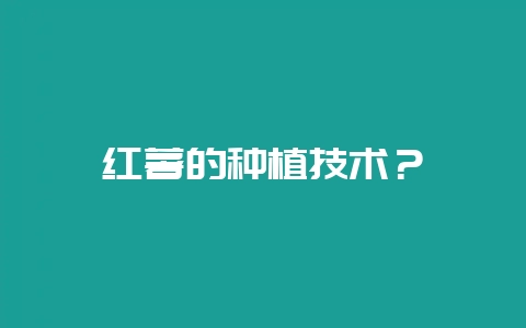 红薯的种植技术？-会东网