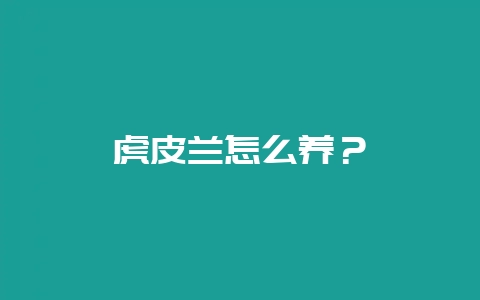 虎皮兰怎么养？-会东网
