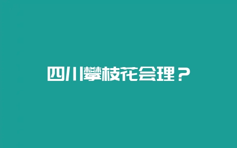 四川攀枝花会理?-会东网