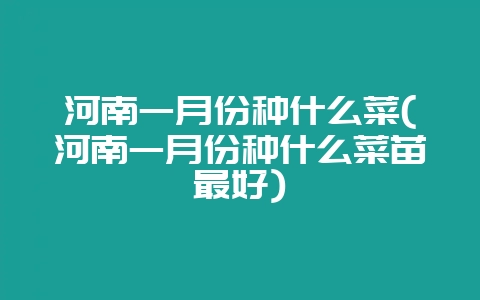 河南一月份种什么菜(河南一月份种什么菜苗最好)-会东网