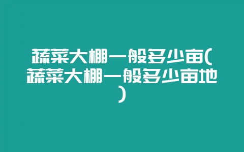 蔬菜大棚一般多少亩(蔬菜大棚一般多少亩地)-会东网