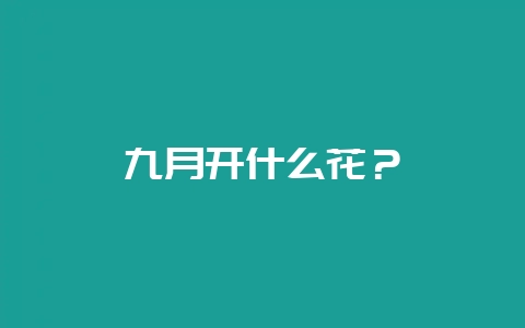 九月开什么花?插图 九月开什么花?插图