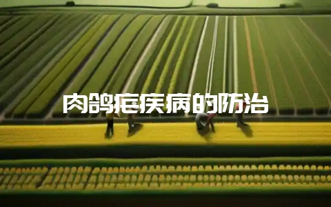 肉鸽疟疾病的防治-会东网
